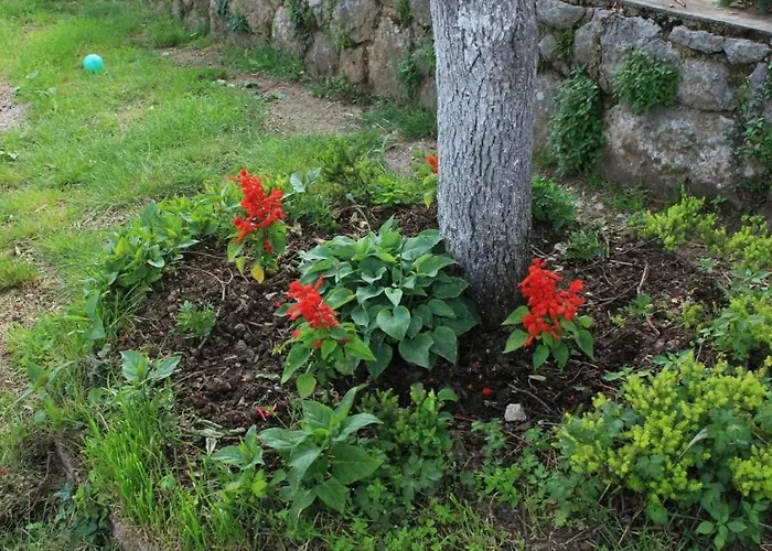 With A Parking Space Lovran, Opatija - 7802 Lägenhet