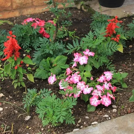 Apartamento With A Parking Space Lovran, Opatija - 7802 Lovran