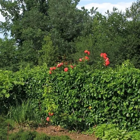 With A Parking Space Lovran, Opatija - 7802 Apartamento *