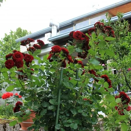 With A Parking Space Lovran, Opatija - 7802 * Lovran