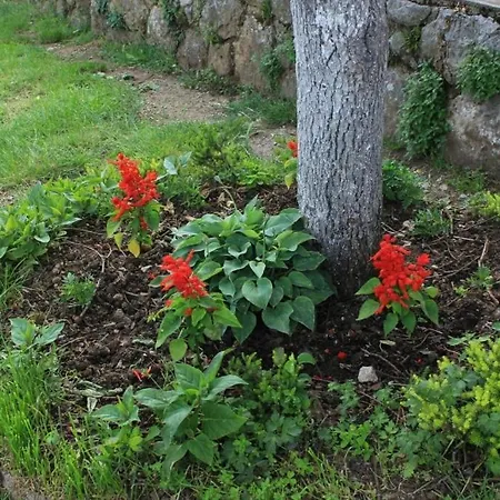 With A Parking Space Lovran, Opatija - 7802 Apartamento